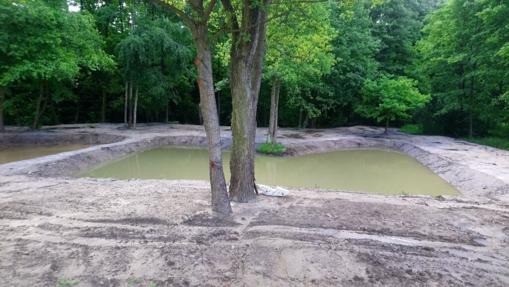 Staw Kielce Witosa Uslugi Koparka Stankop 2